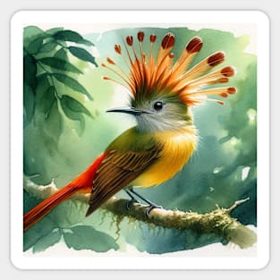 Colorful Royal Flycatcher - Watercolor Bird Sticker